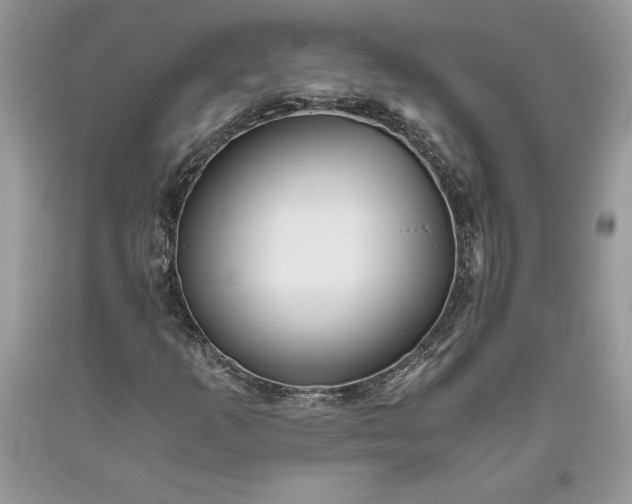 X0000093511253200710261149