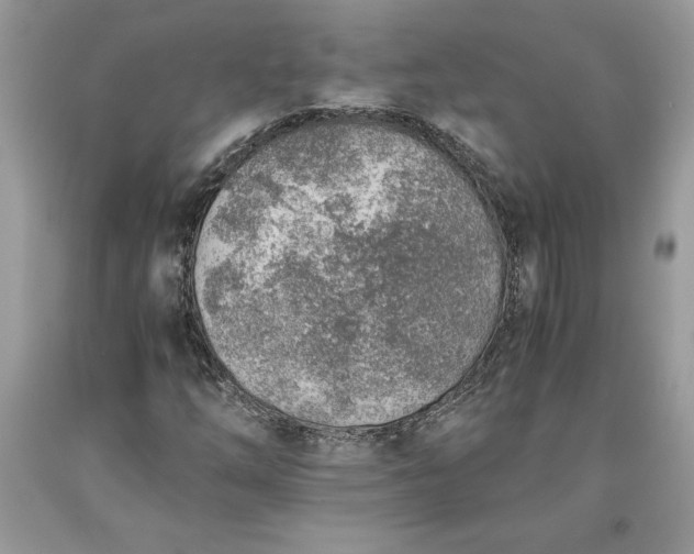 X0000093511254200710261149
