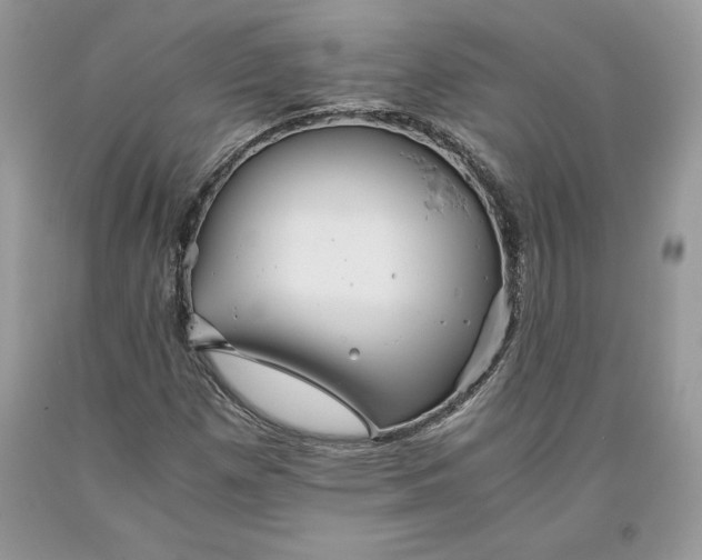 X0000093511257200710261149