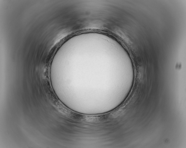 X0000093511258200710261149