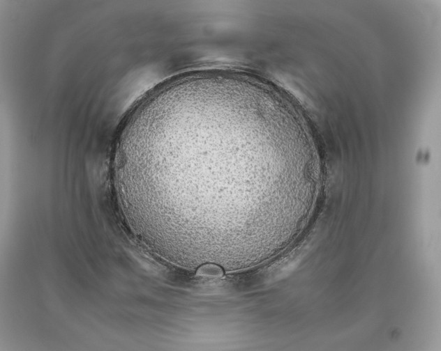X0000093511259200710261149