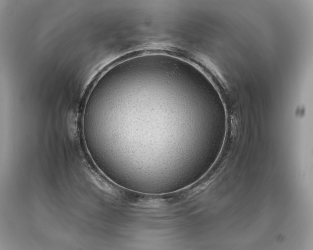 X0000093511260200710261149
