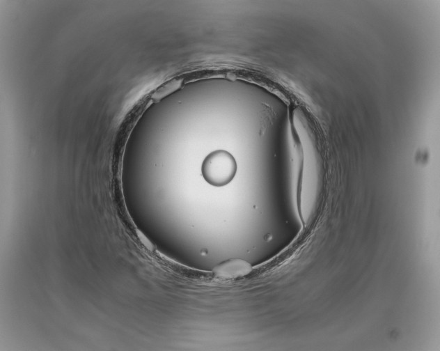 X0000093511261200710261149