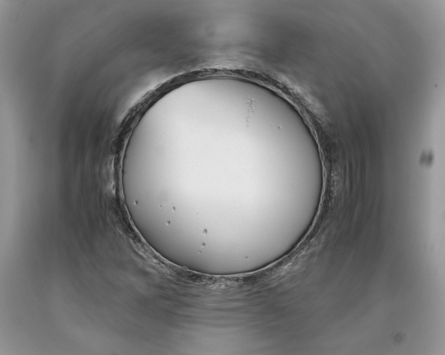 X0000093511262200710261149
