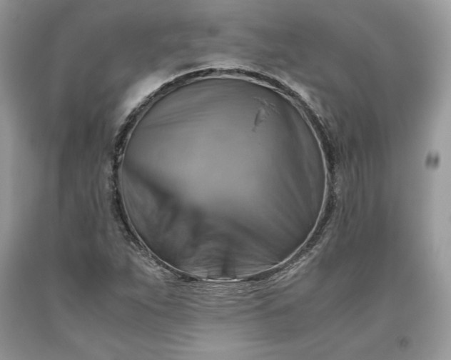 X0000093511263200710261149