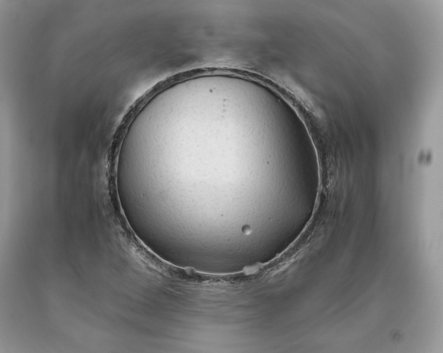 X0000093511264200710261149