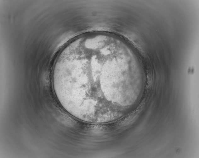 X0000093511266200710261149
