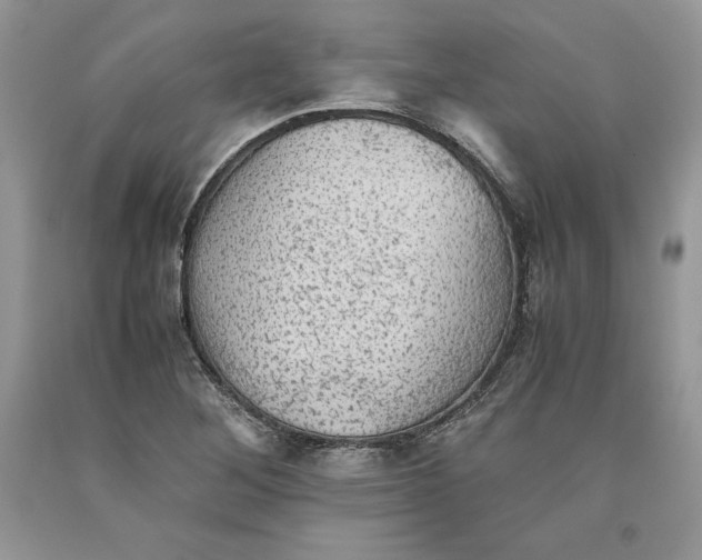 X0000093511268200710261149