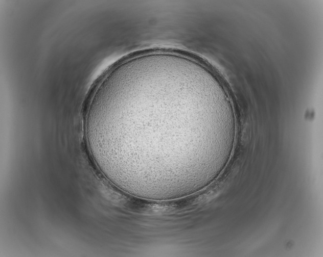 X0000093511271200710261149