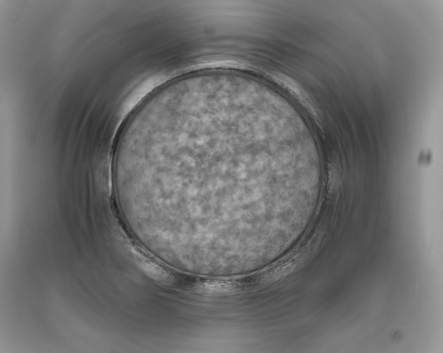 X0000093511274200710261149