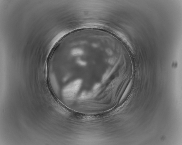 X0000093511275200710261149