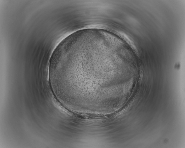 X0000093511276200710261149