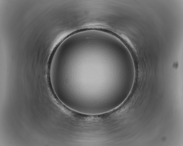 X0000093511277200710261149