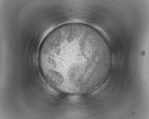 X0000093511278200710261149