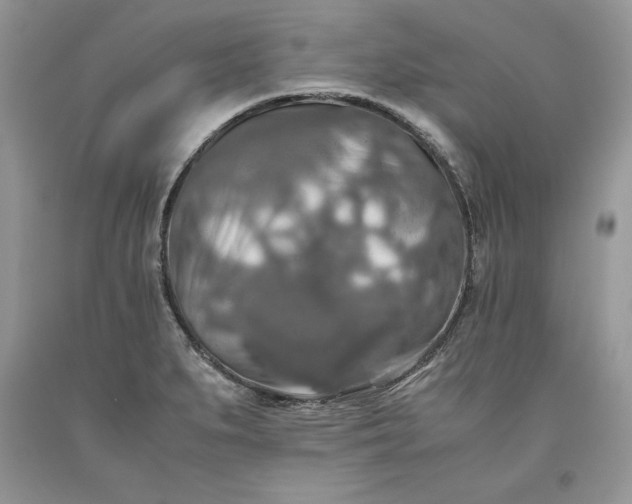 X0000093511279200710261149