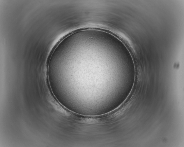 X0000093511280200710261149