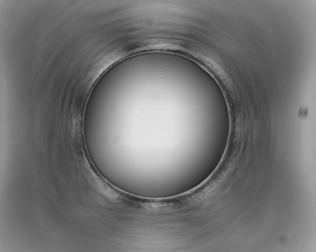 X0000093511281200710261149