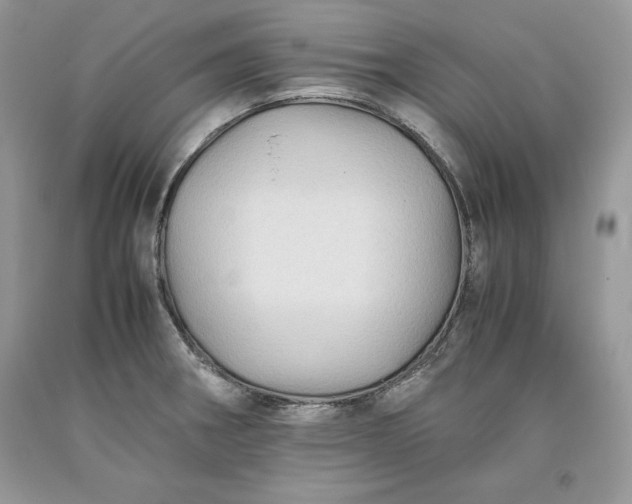 X0000093511282200710261149