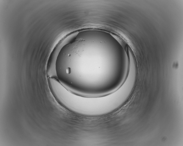 X0000093511283200710261149