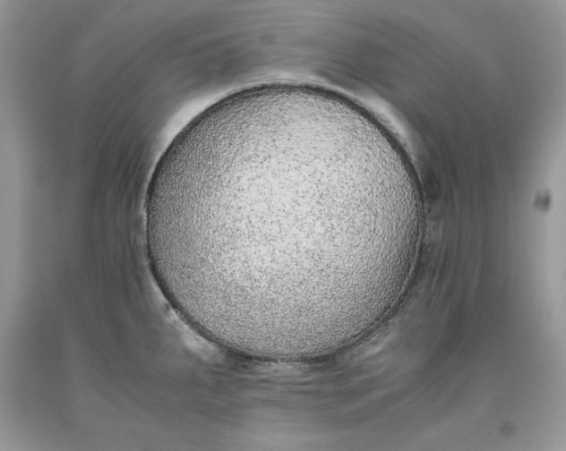 X0000093511287200710261149