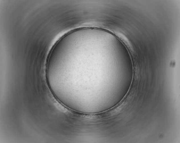 X0000093511288200710261149