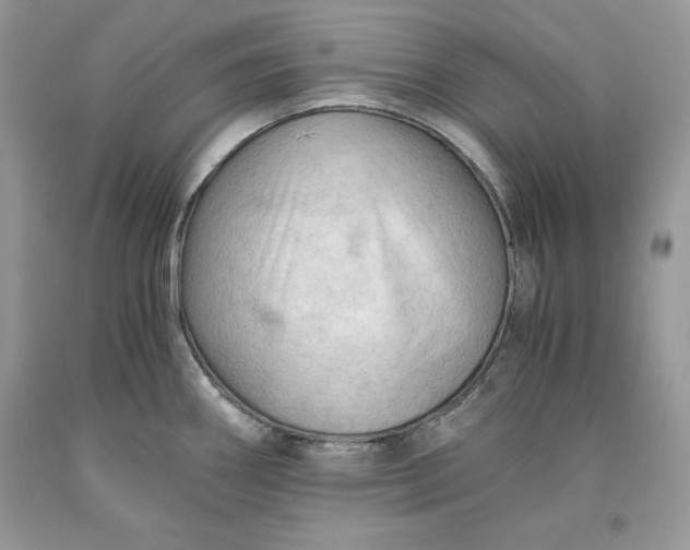 X0000093511290200710261149