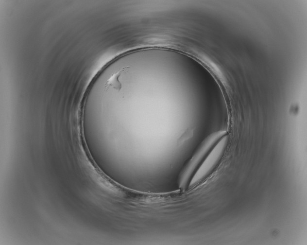 X0000093511291200710261149