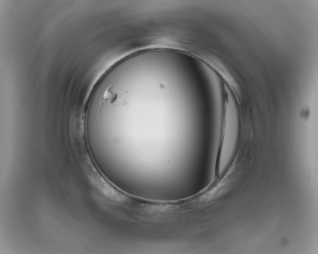 X0000093511292200710261149