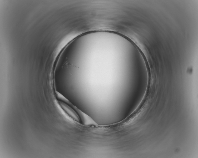 X0000093511293200710261149