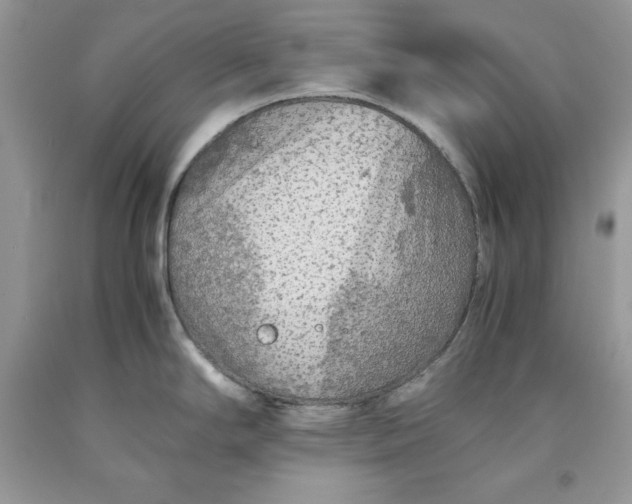 X0000093511294200710261149