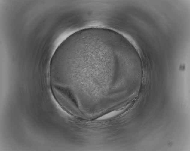 X0000093511295200710261149