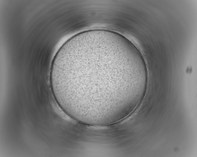 X0000093511296200710261149