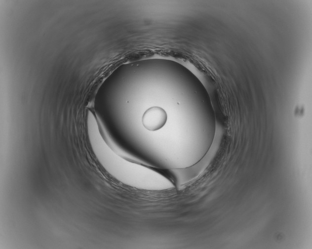 X0000093511298200710261148