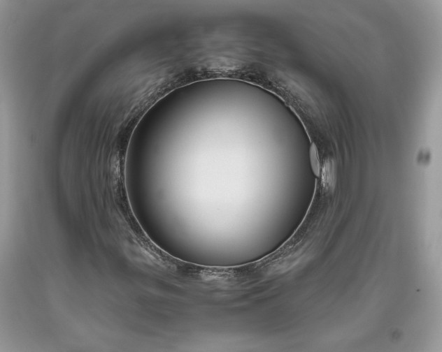 X0000093511299200710261148