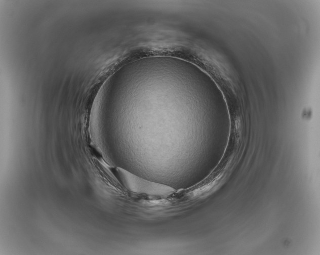 X0000093511300200710261148