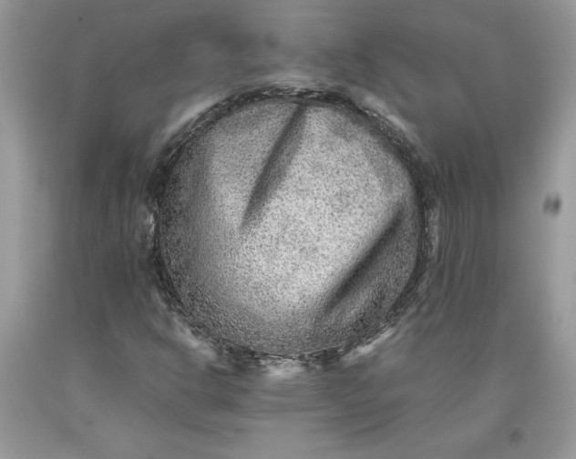 X0000093511302200710261148