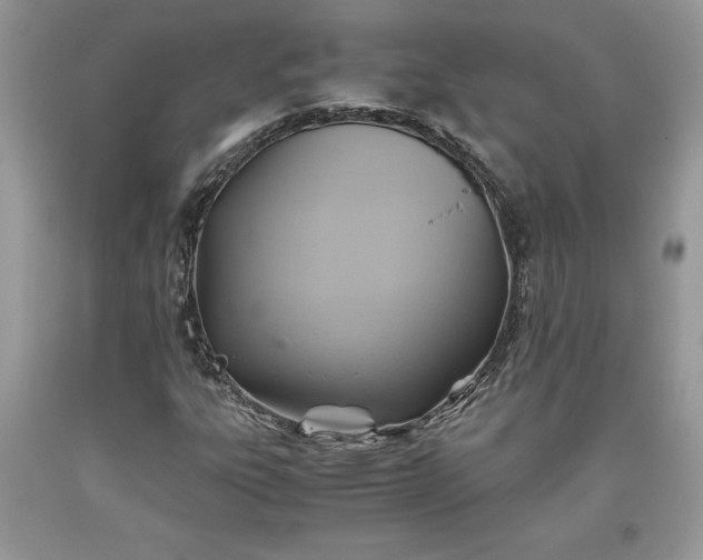 X0000093511303200710261148