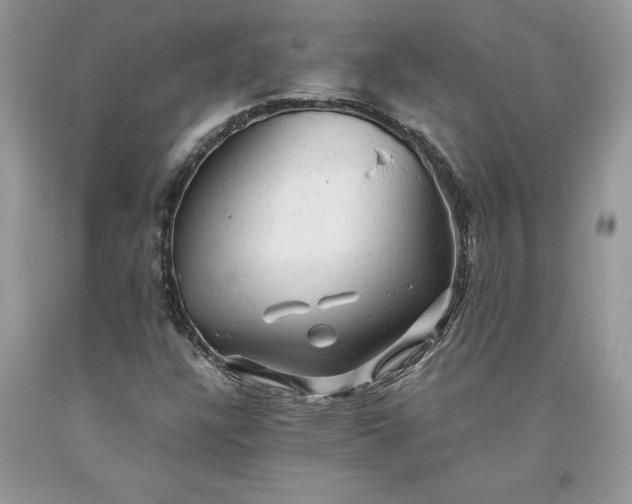 X0000093511304200710261148