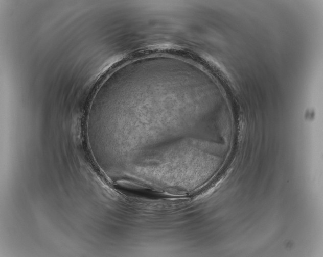 X0000093511305200710261148