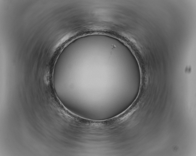 X0000093511306200710261148