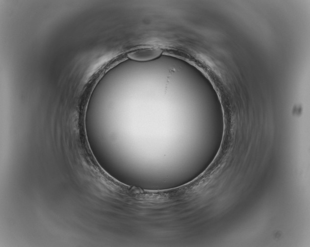 X0000093511307200710261148