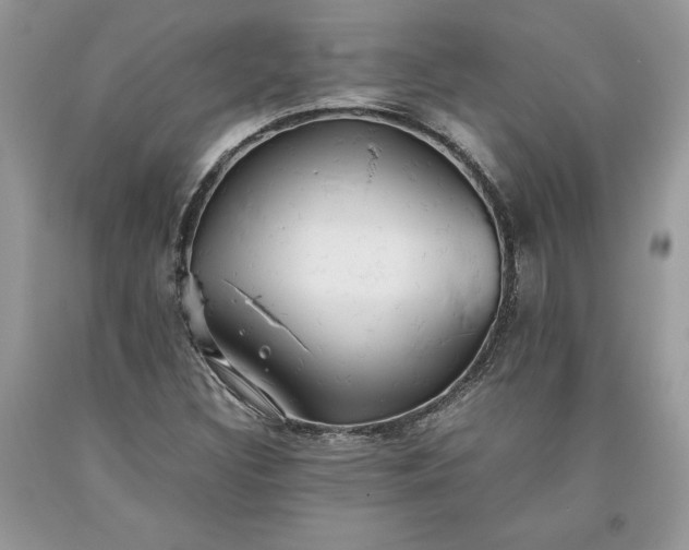 X0000093511308200710261148