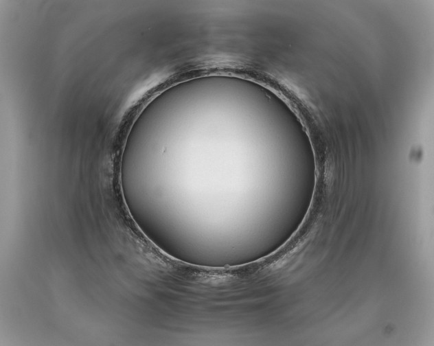 X0000093511309200710261148