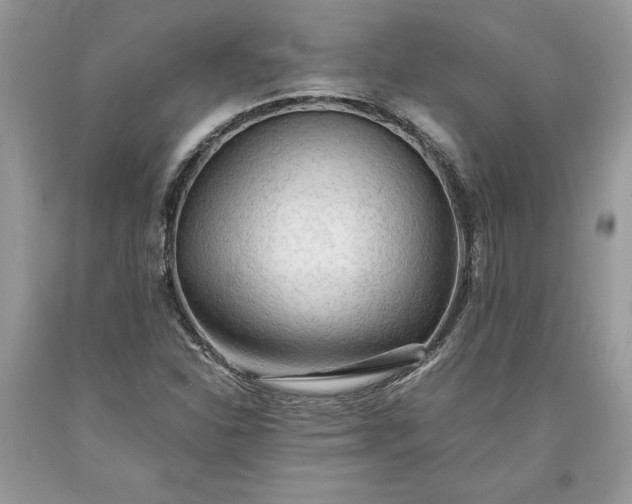 X0000093511310200710261148
