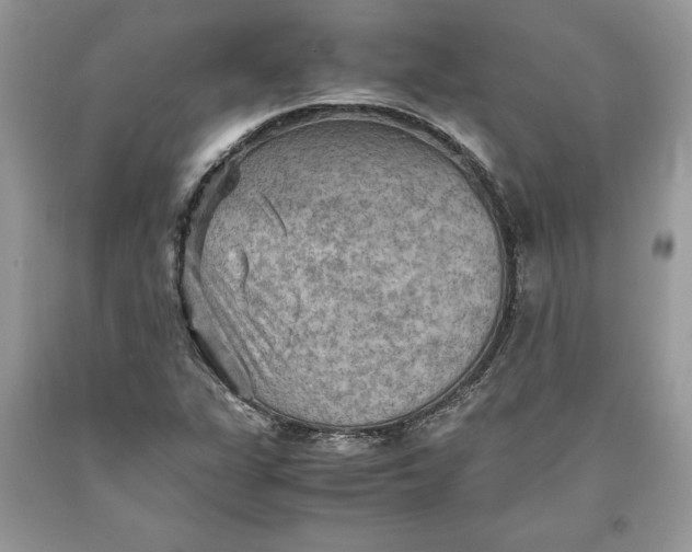 X0000093511311200710261148