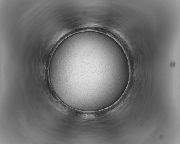 X0000093511313200710261148