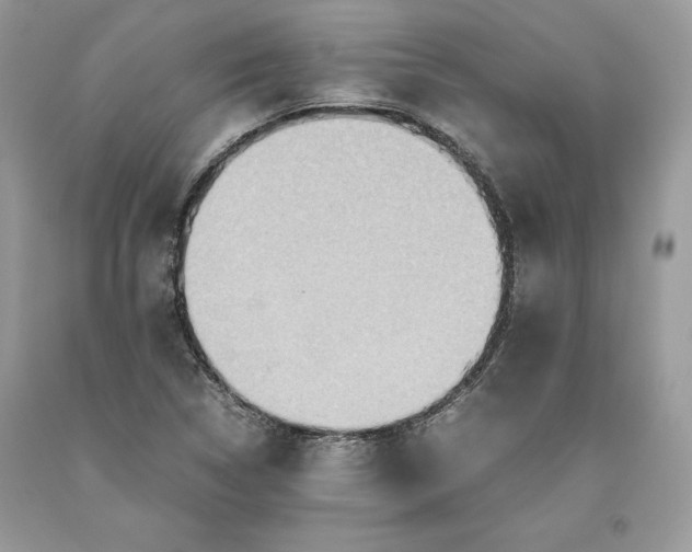 X0000093511314200710261148