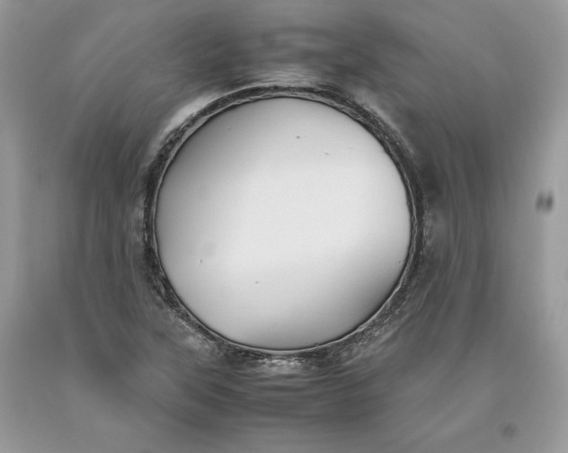 X0000093511315200710261148