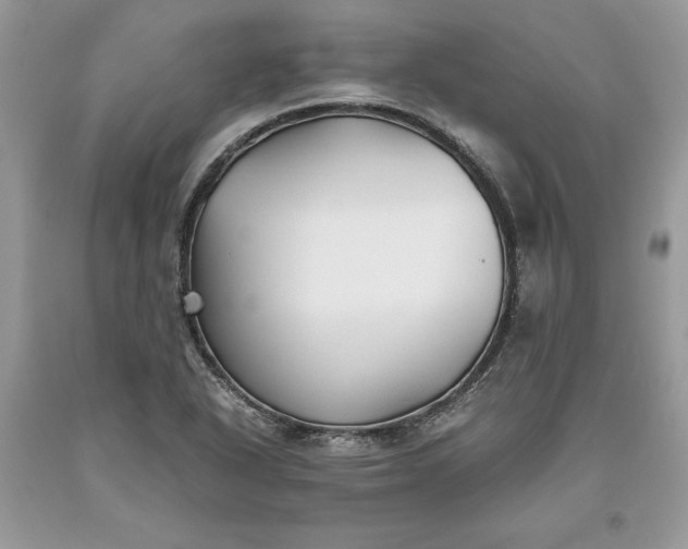 X0000093511318200710261148