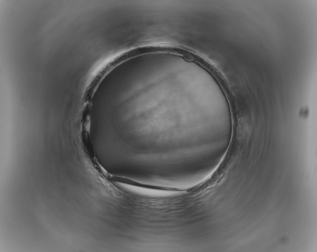 X0000093511319200710261148